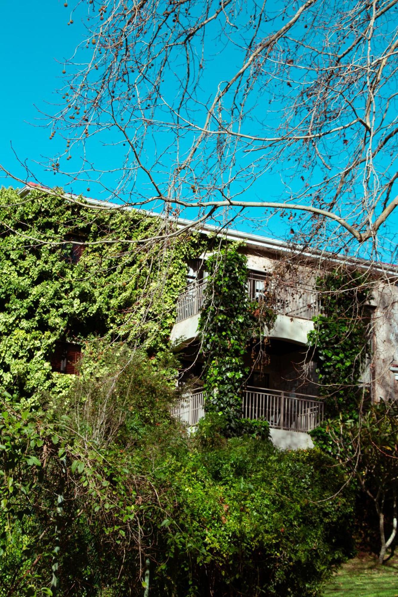 Southern Light Country House Le Cap Extérieur photo